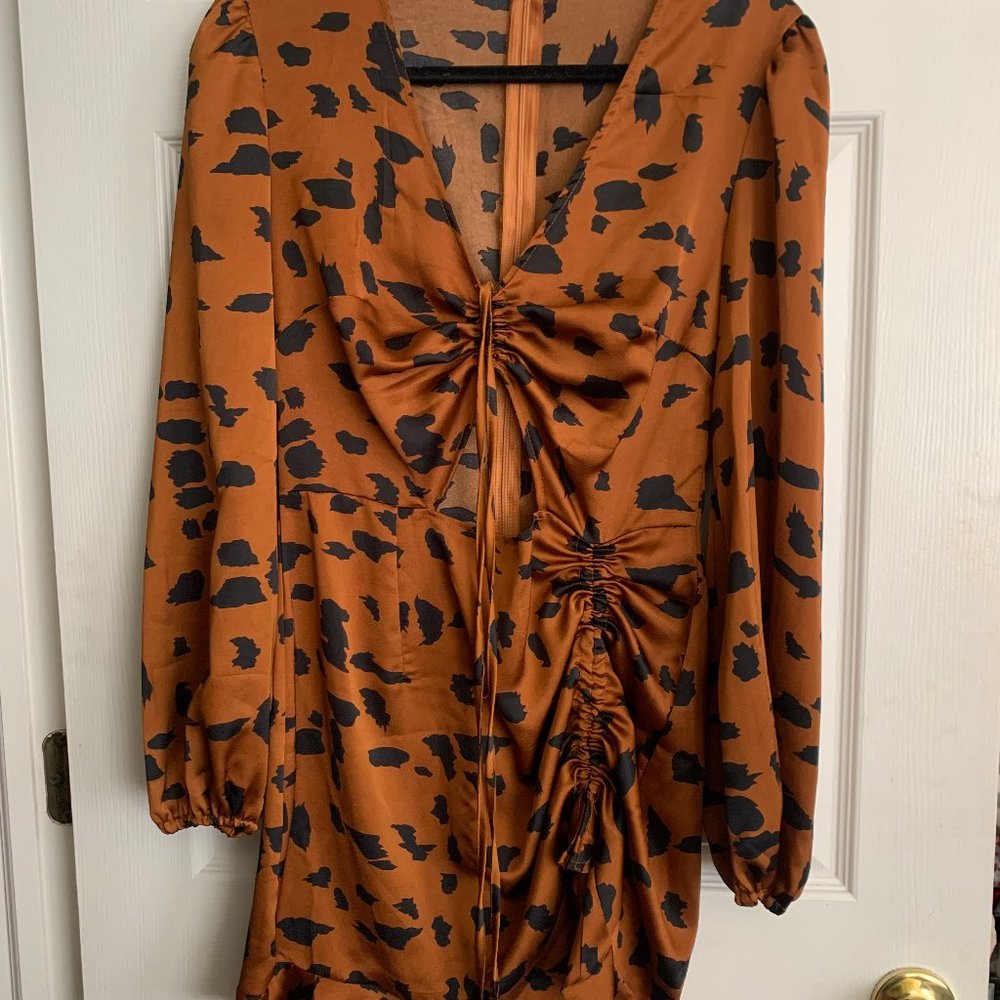 Cheetah Print Long-Sleeve Dress with Slit